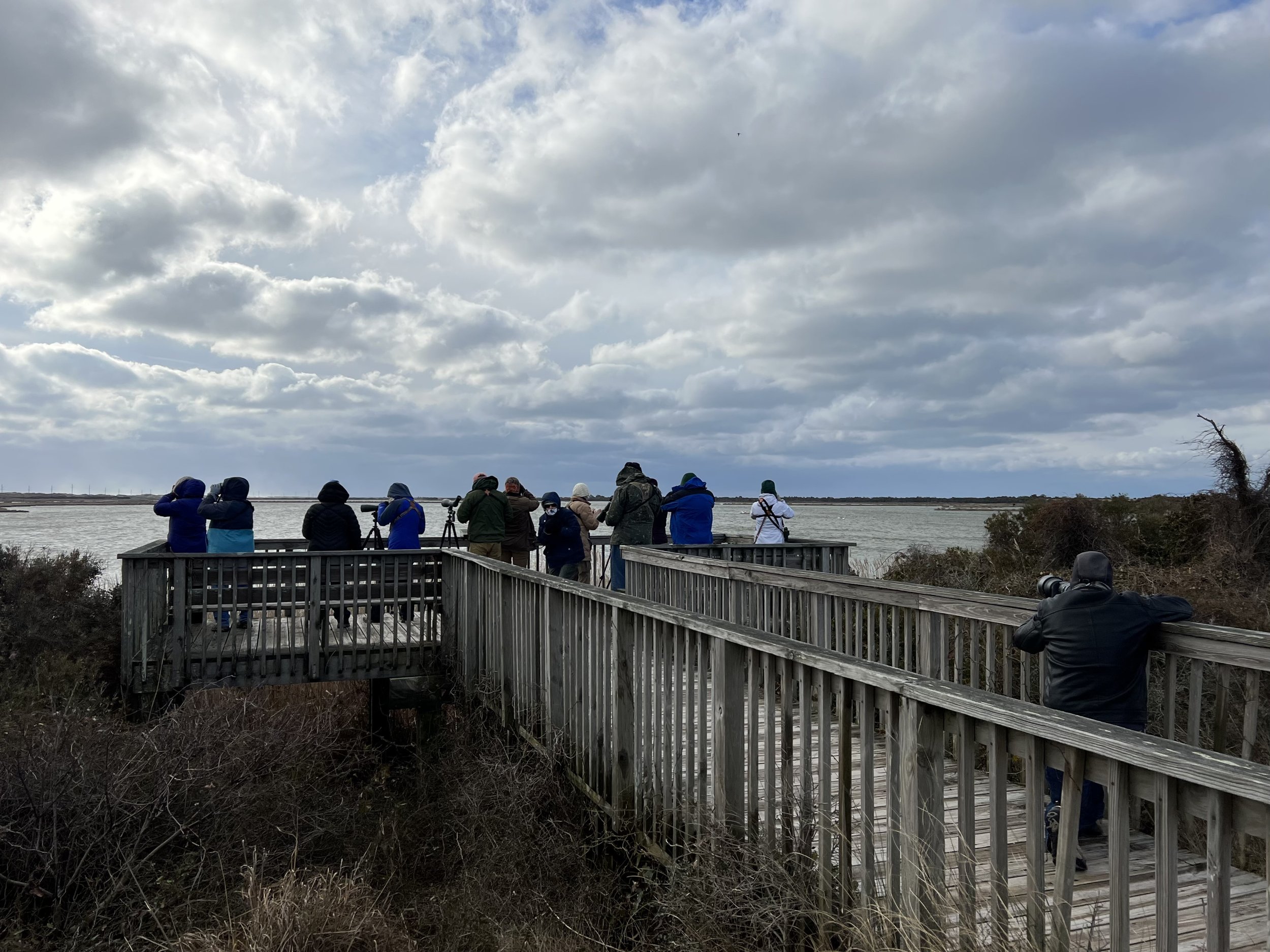 Birders at Pea Island - Laura Mae.jpeg