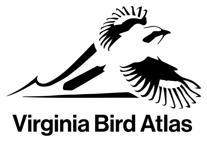 Major Expansion of the Virginia Bird Atlas Released 8/5/2026