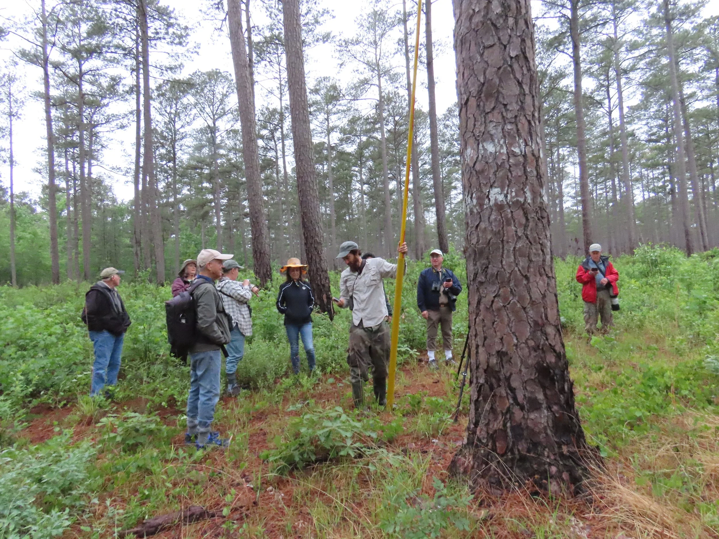 Birders watch as Chance checks nest.jpg