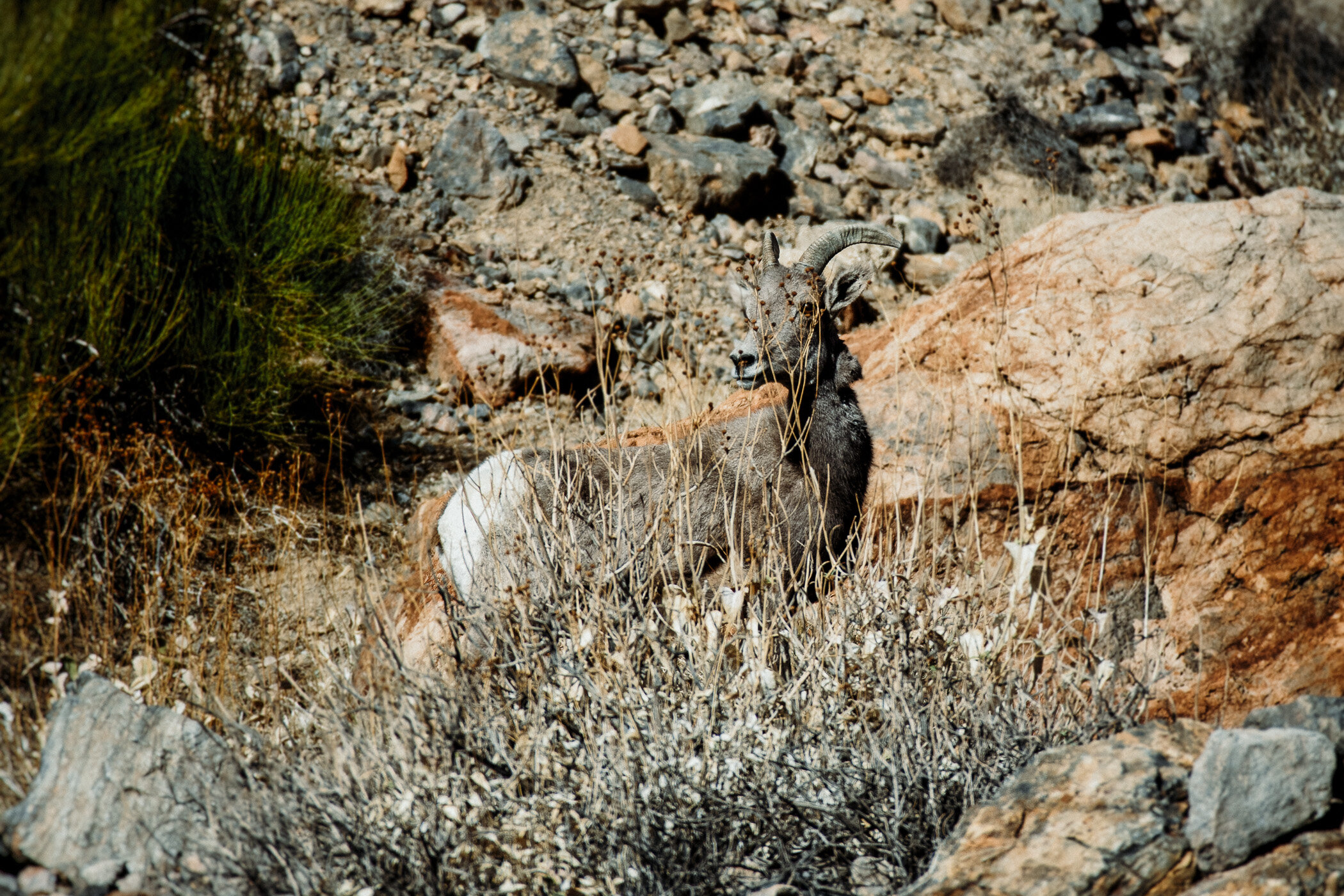 IMG_2934-Edit.jpg