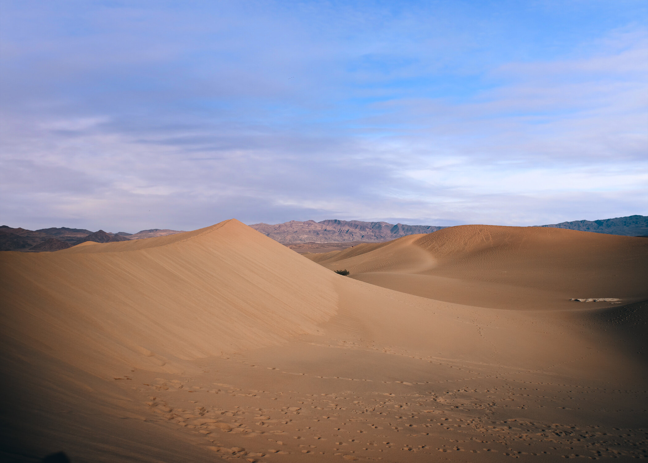 IMG_3026-Edit.jpg