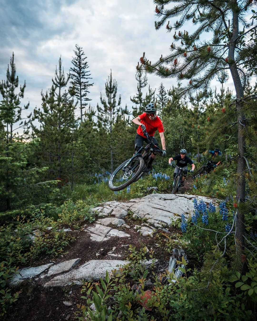 Candle Creek Trails are popping!
📷 Photos by @aedanskinner

SUMMER MEMBERSHIP AND SPONSORSHIP DRIVE
Thursday June 24  5 - 7 pm 
Raft Rim Rec Site -  2 km Rd 9
Group Ride 6 PM
A summer membership is $50, trail maintenance sponsorship is $100.
Link to