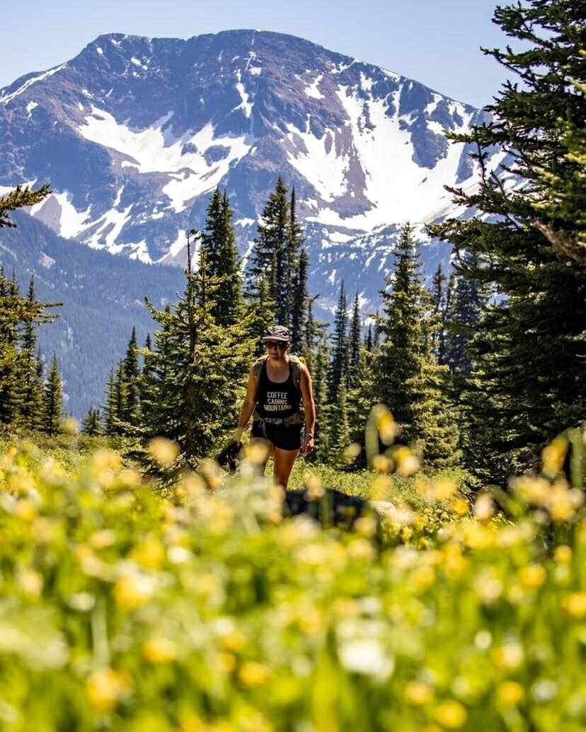 Canada&rsquo;s largest sub-Alpine flower meadow is in bloom🌼🌞🏔
As the snow melts the Trophy Mountain Meadows of Wells Gray Provincial Park are in their first bloom with Glacier Lilies. 

The trail is still wet in places and there is still some sno