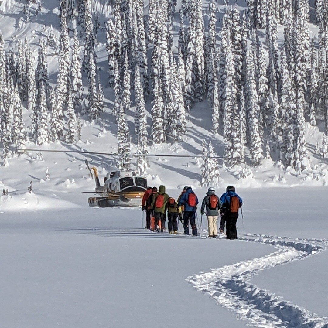 A warm up walk before the &quot;big bird&quot; takes us up for some deep powder skiing.

#mikewiegele #letsgoskiing