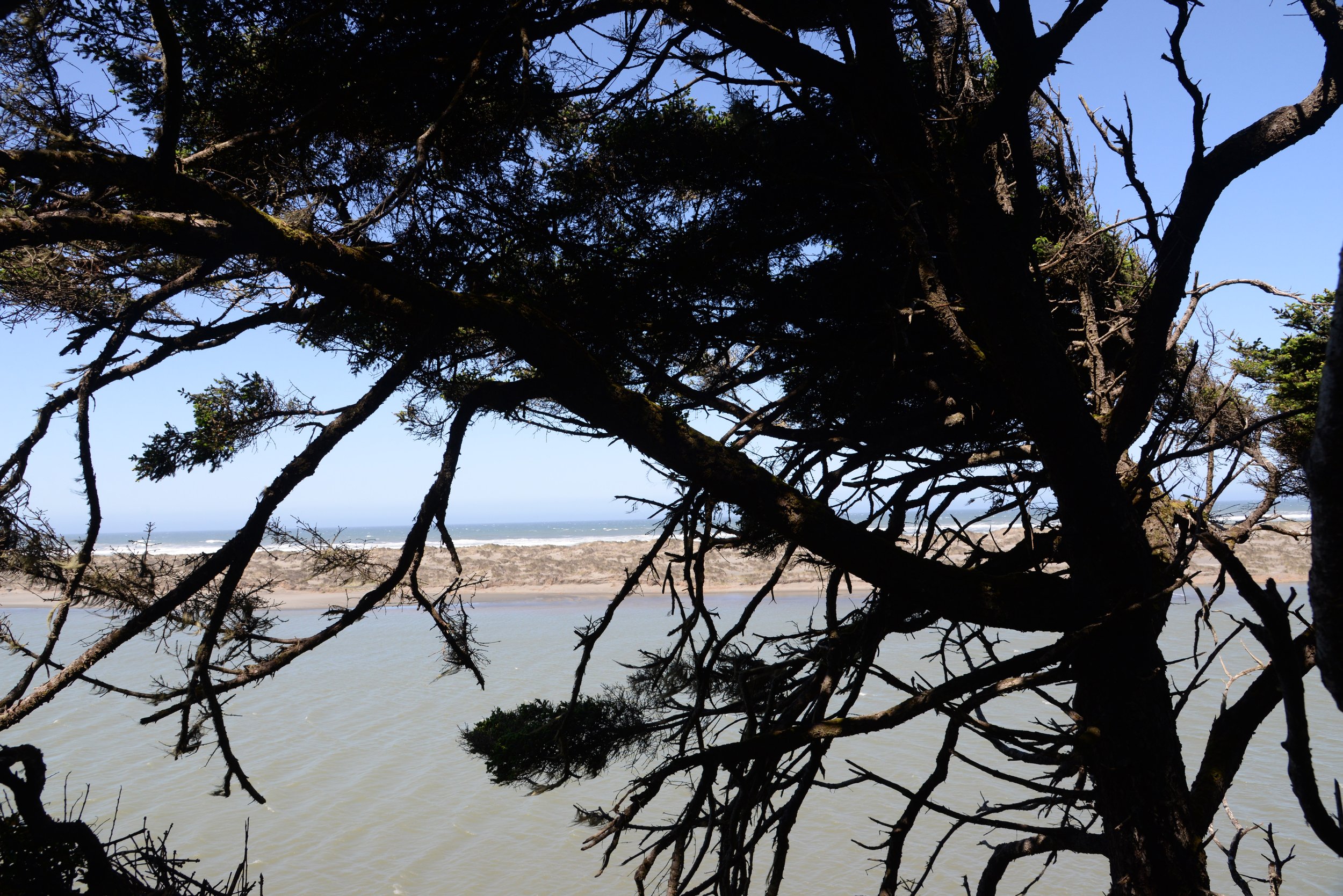 Home — McKinleyville Land Trust