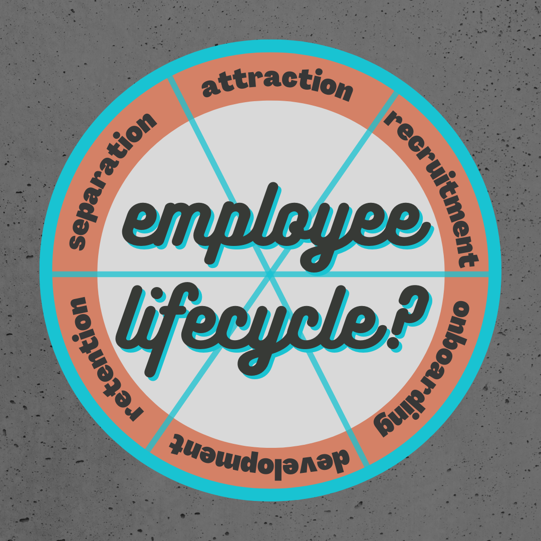 Understanding the Employee Lifecycle