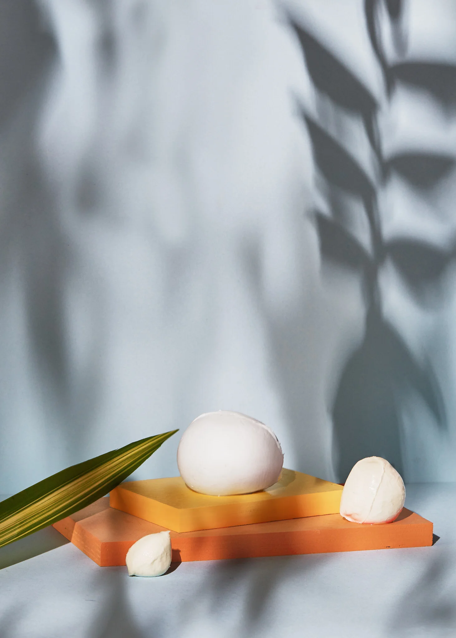  Say yes to healthy fats. 