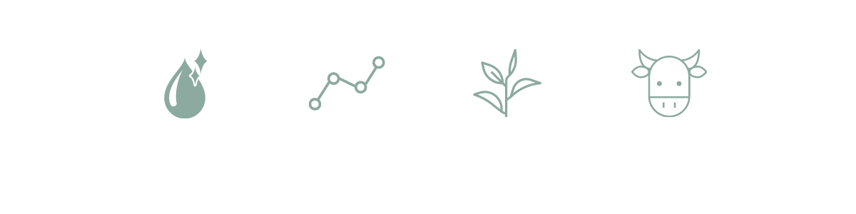 bufinfoicons (2).png