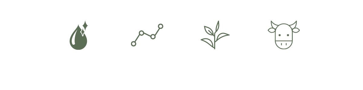 bufinfoicons (4).png