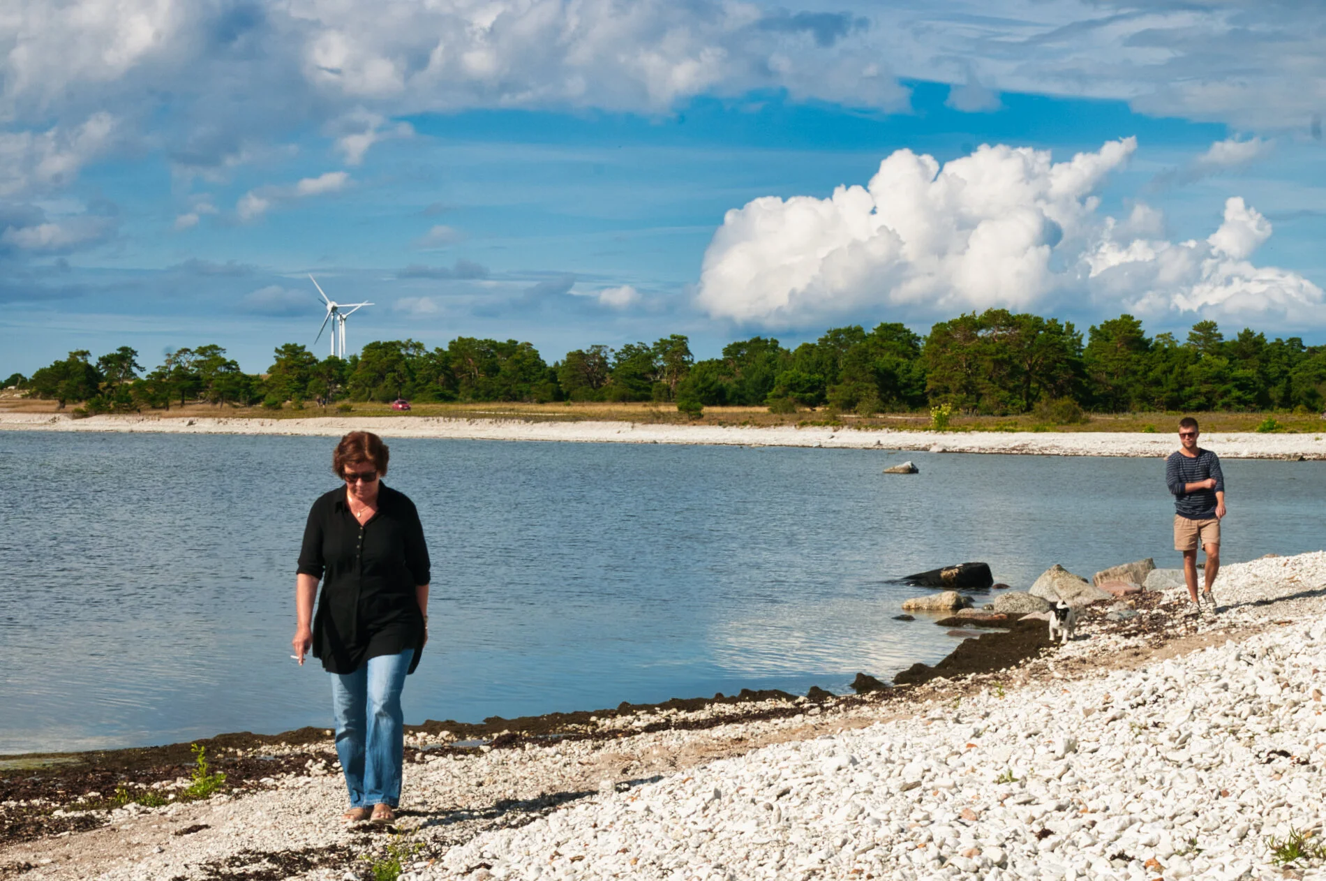 gotland_2012.jpeg