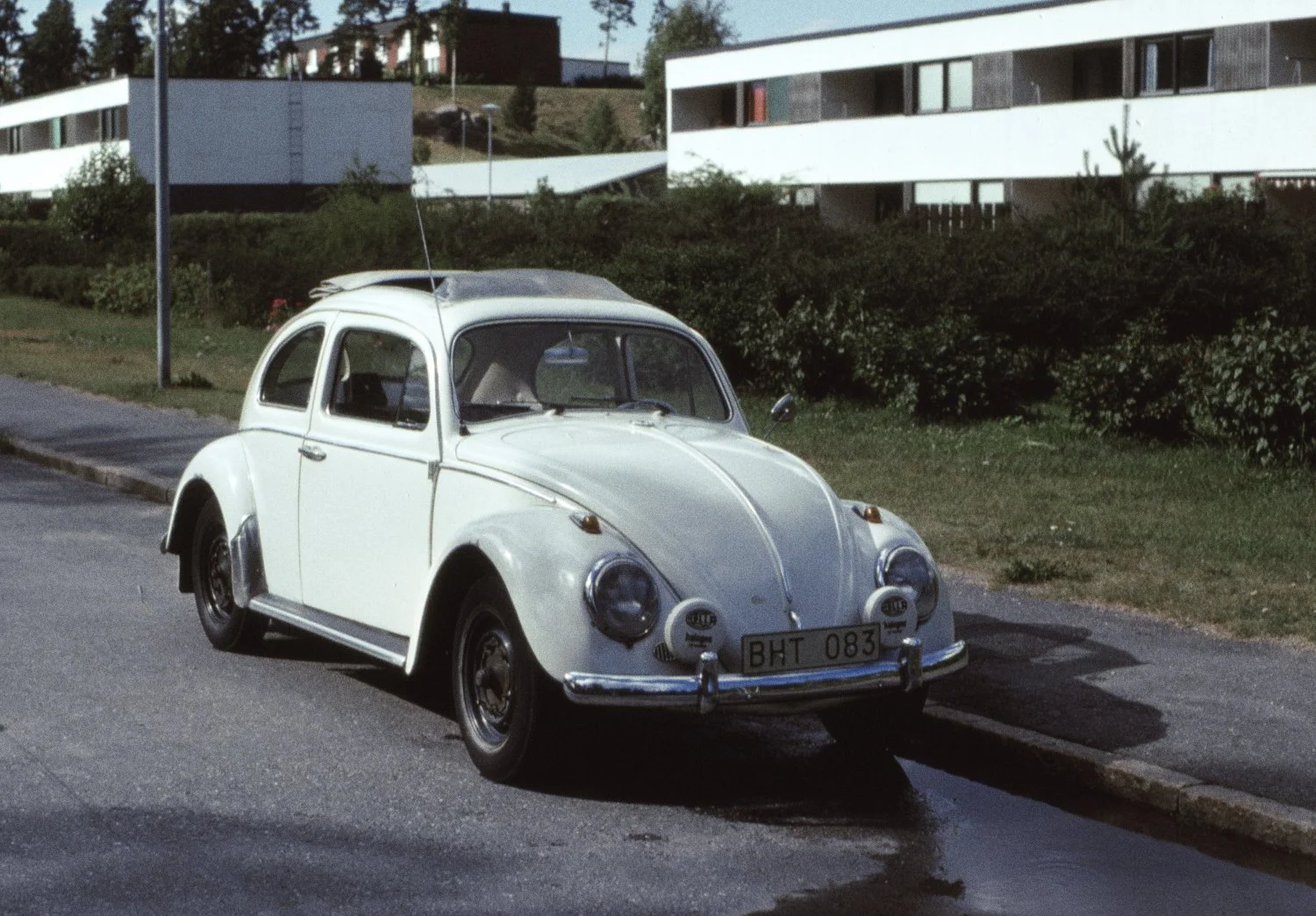 vw1.jpeg