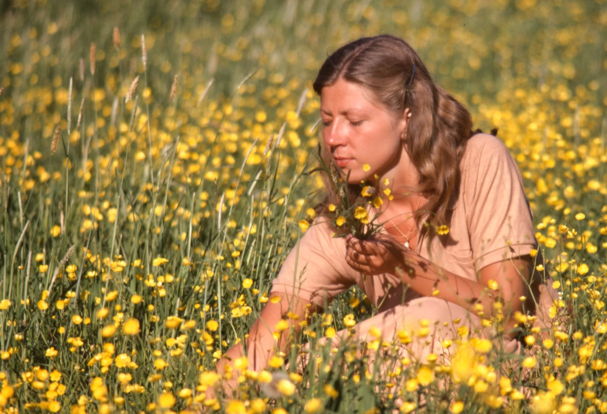 kerstin_smorblommor.jpeg