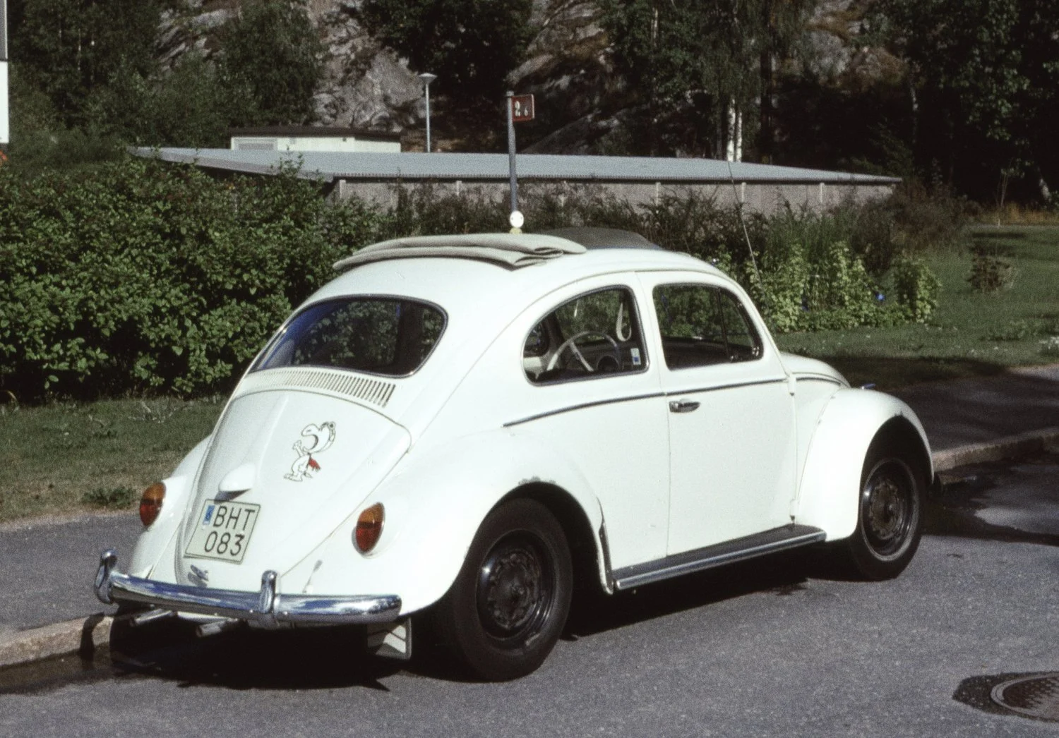 vw2.jpeg