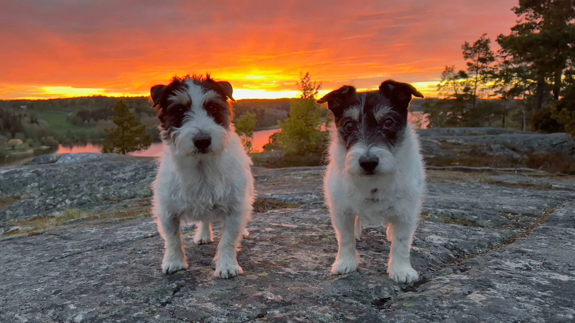 Solnedgången är äkta. Inget fake!