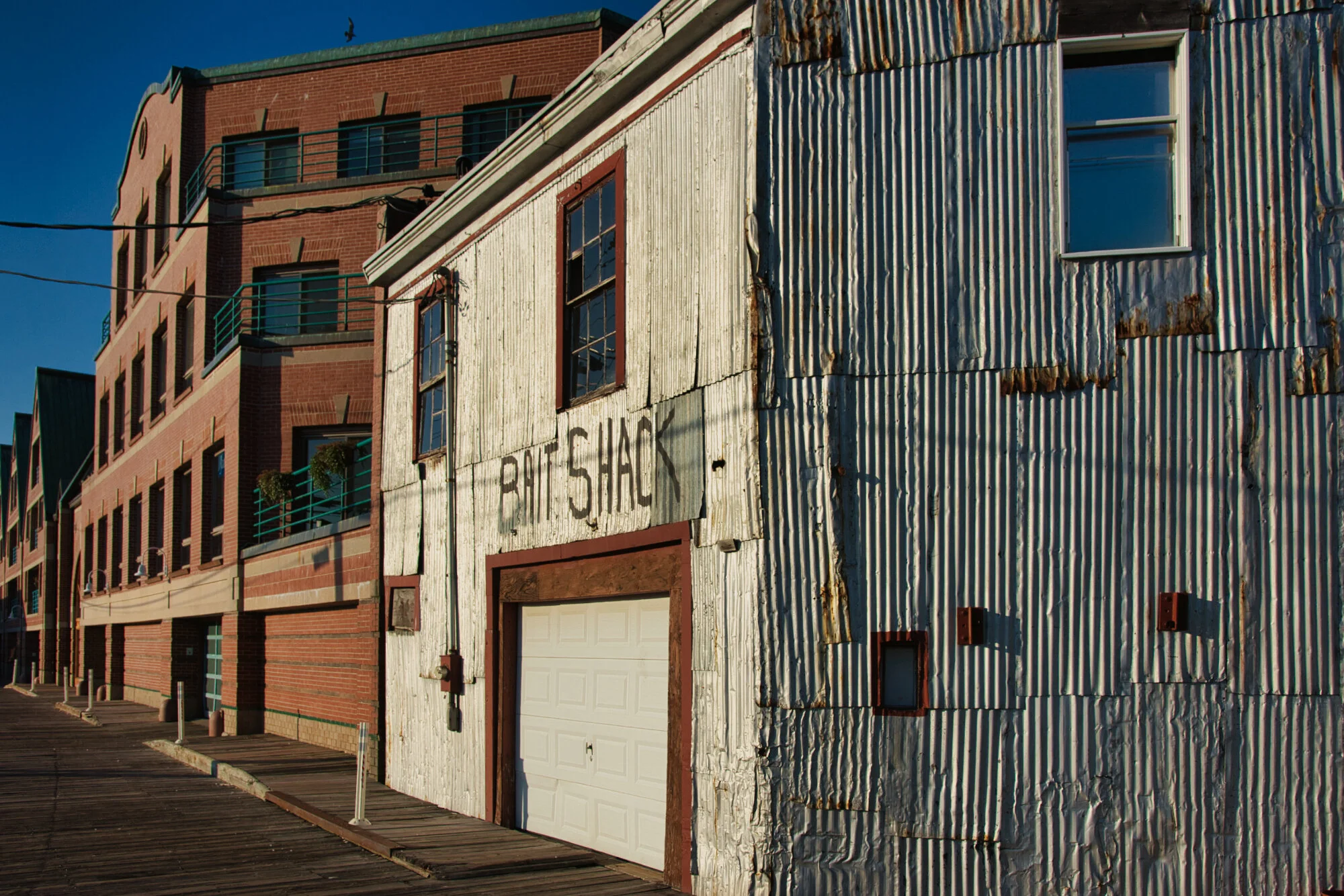 DSC_9597.jpeg