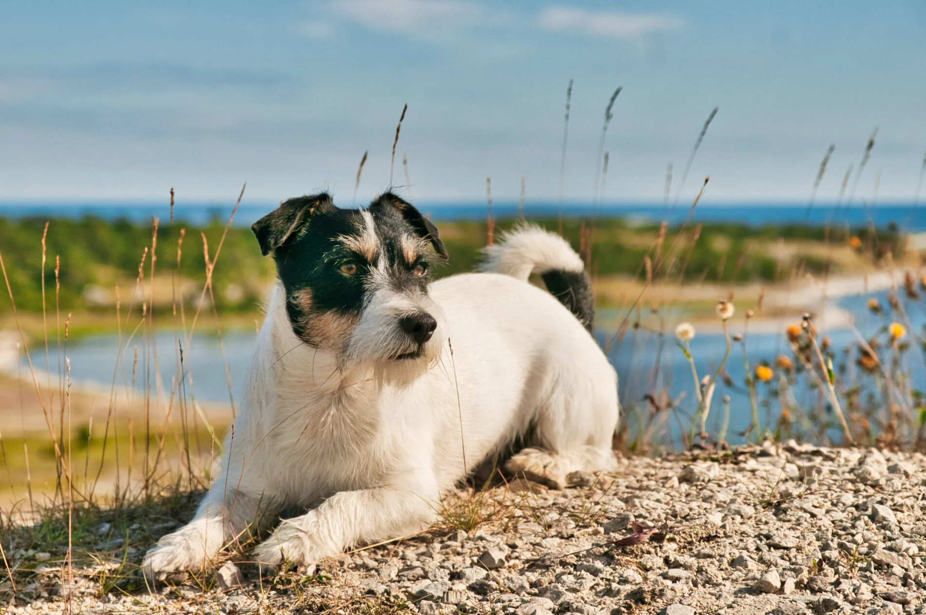 gotland_2012_7.jpeg