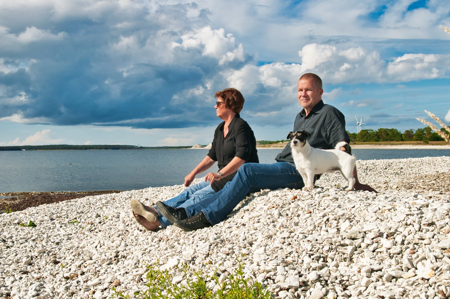 gotland_2012_3.jpeg