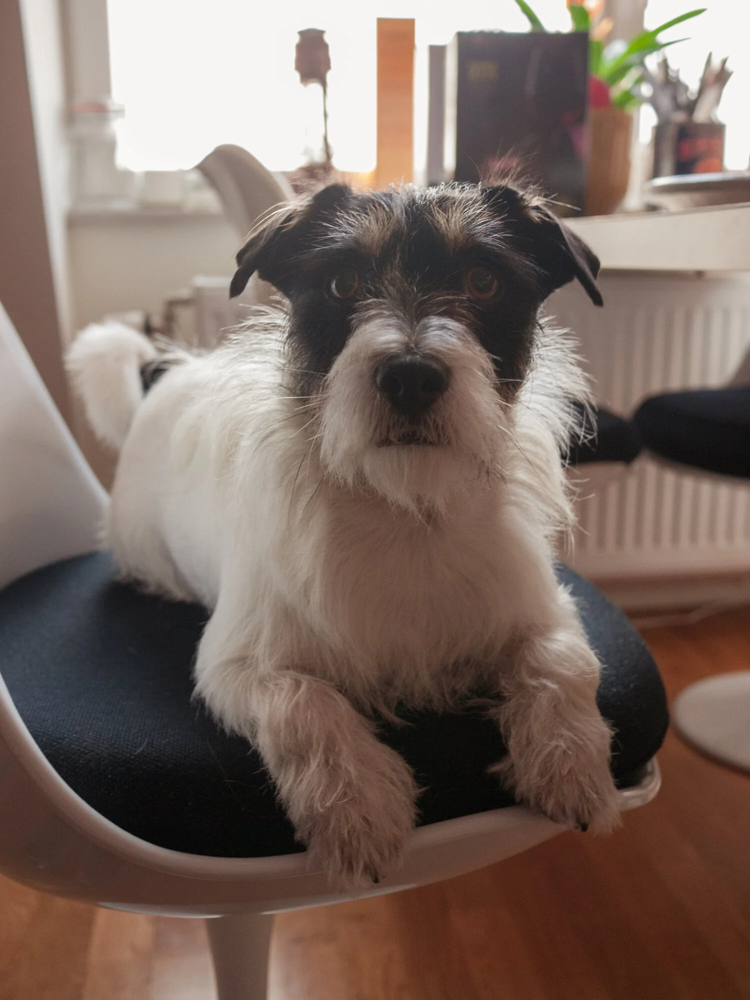 P1000801_patrik_30.jpeg