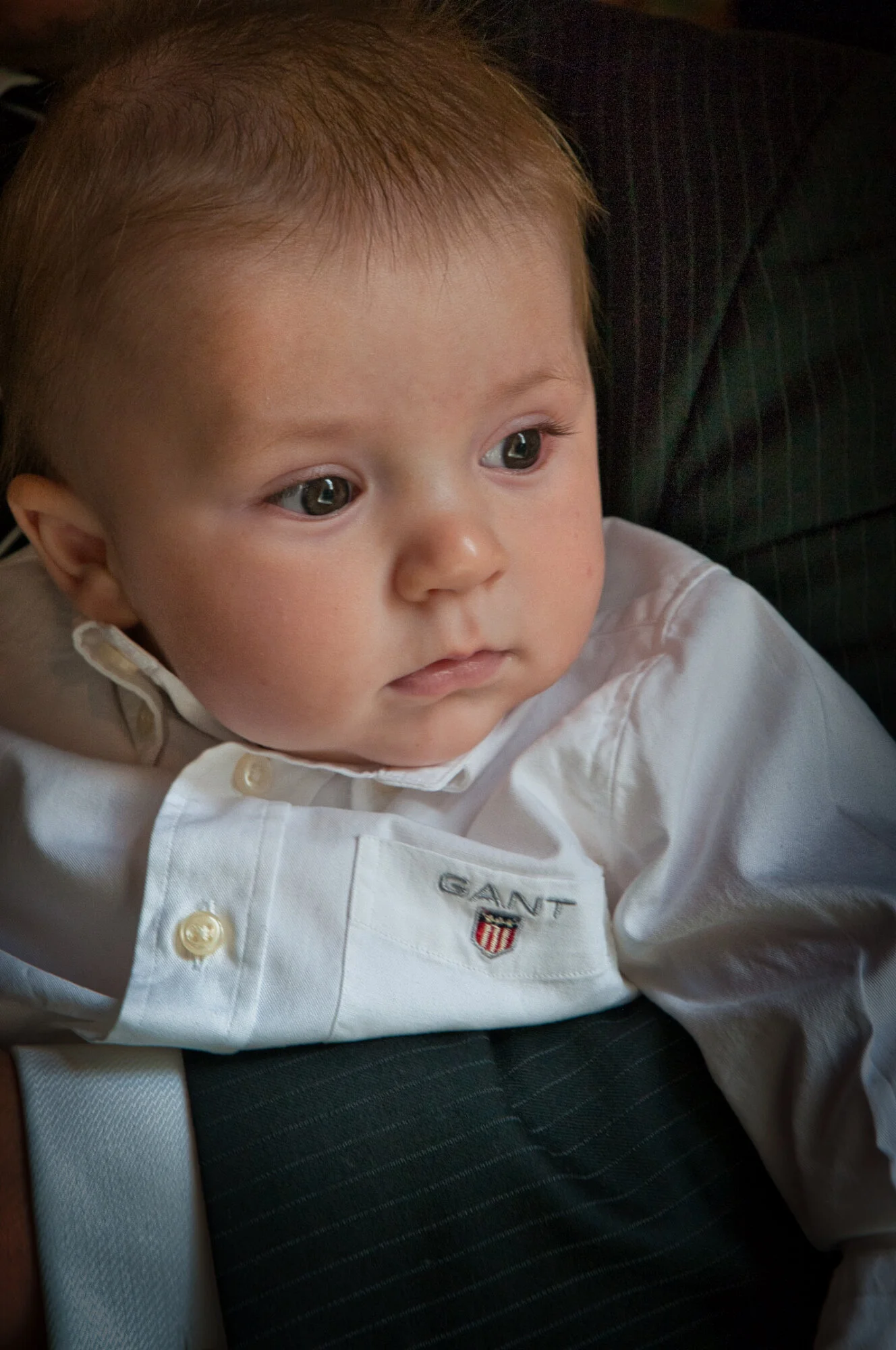 _DSC4709.jpeg