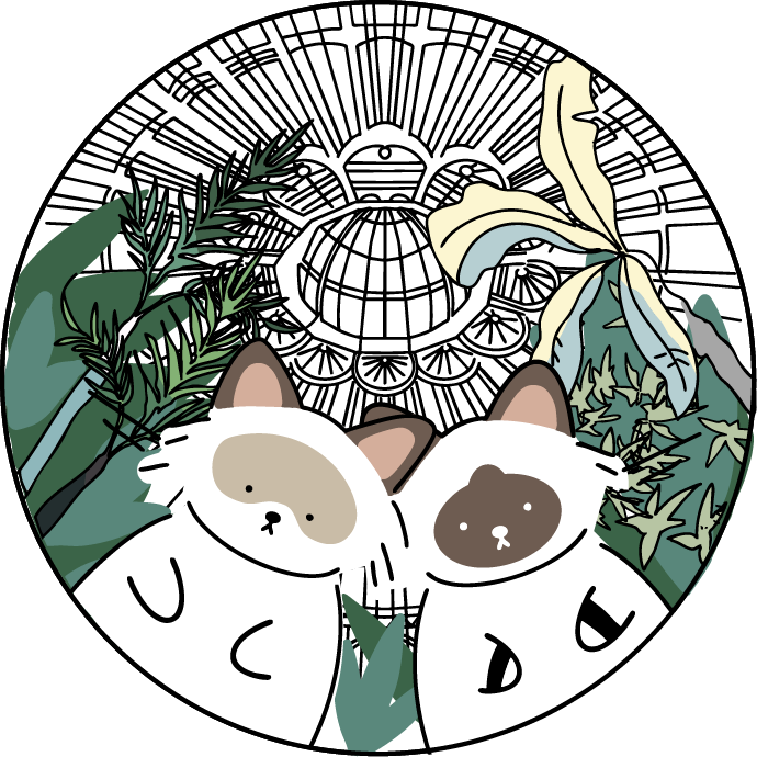 Pin+Design.png