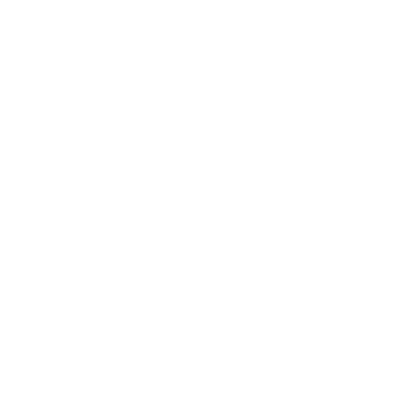 Secure cycle storage