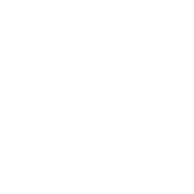 LLR Aster Icon-24.png