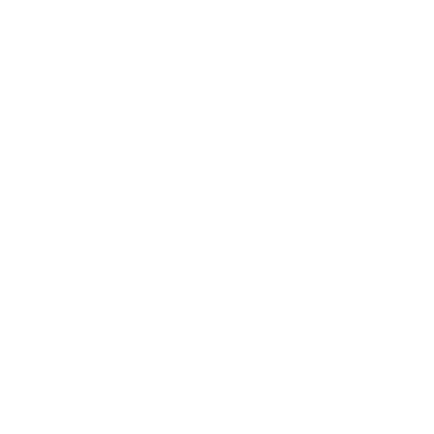 LLR Aster Icon-21.png