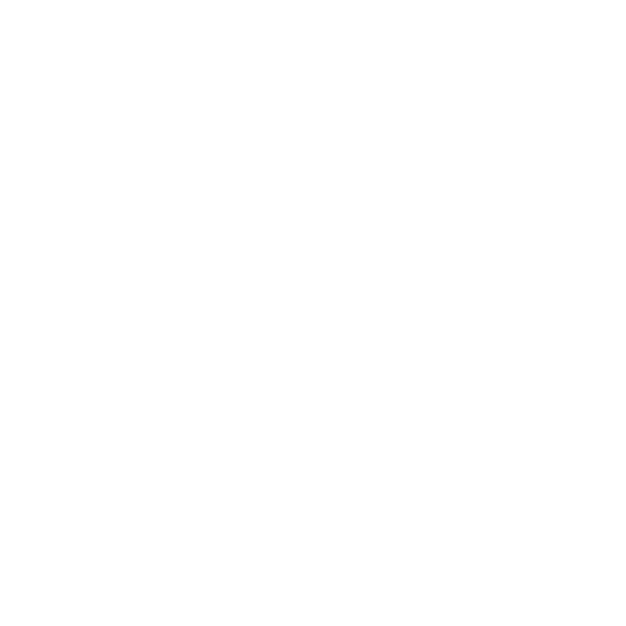 LLR Aster Icon-26.png