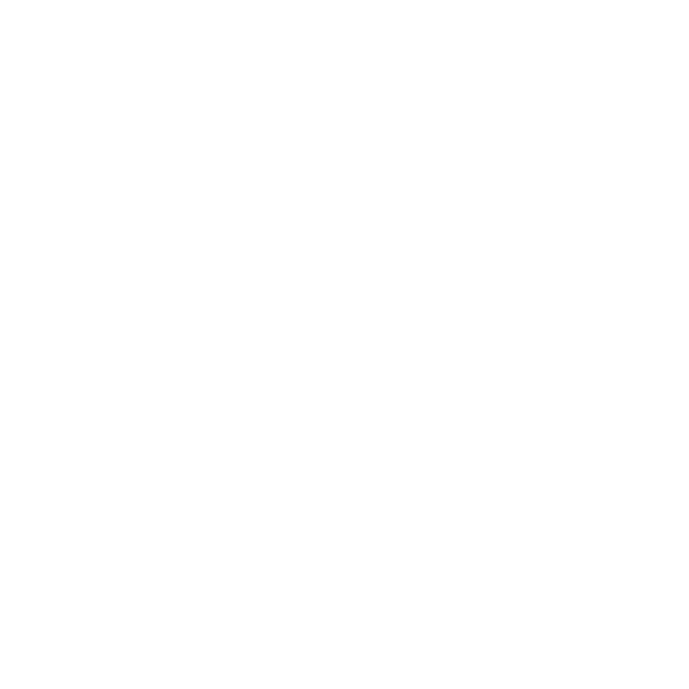 LLR Aster Icon-17.png