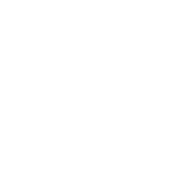 LLR Aster Icon-27.png