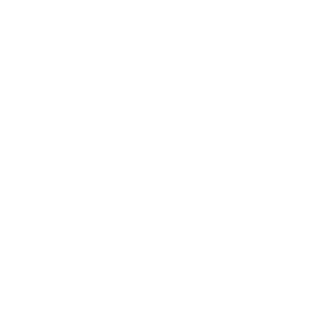 Bridge Walkway