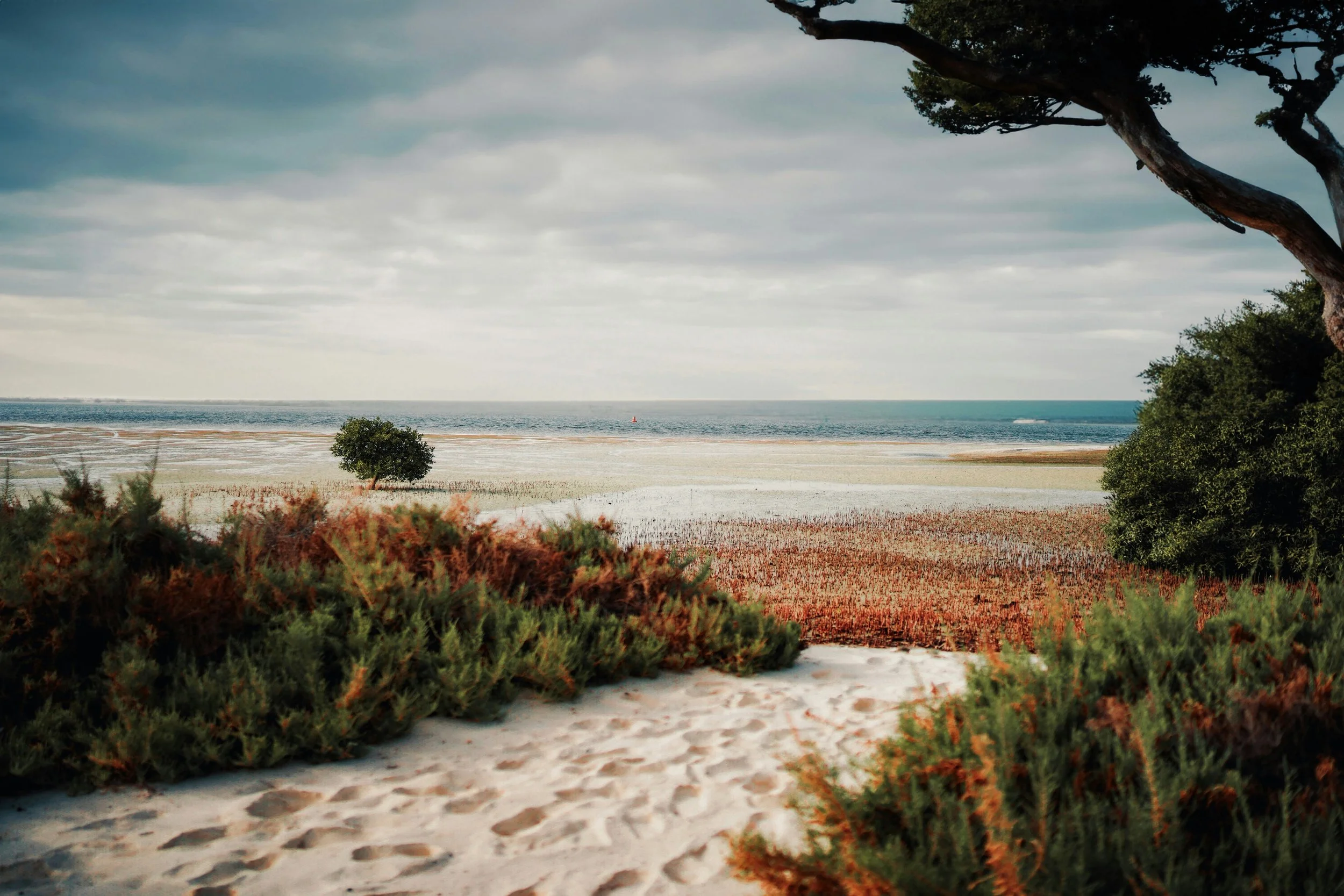 Broad Product Portfolio