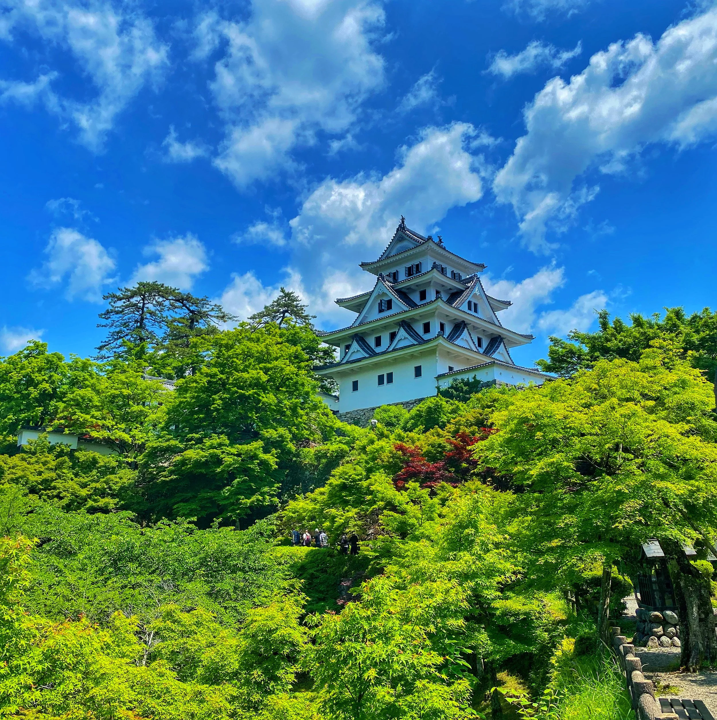 Gujo Hachiman Castle.JPG