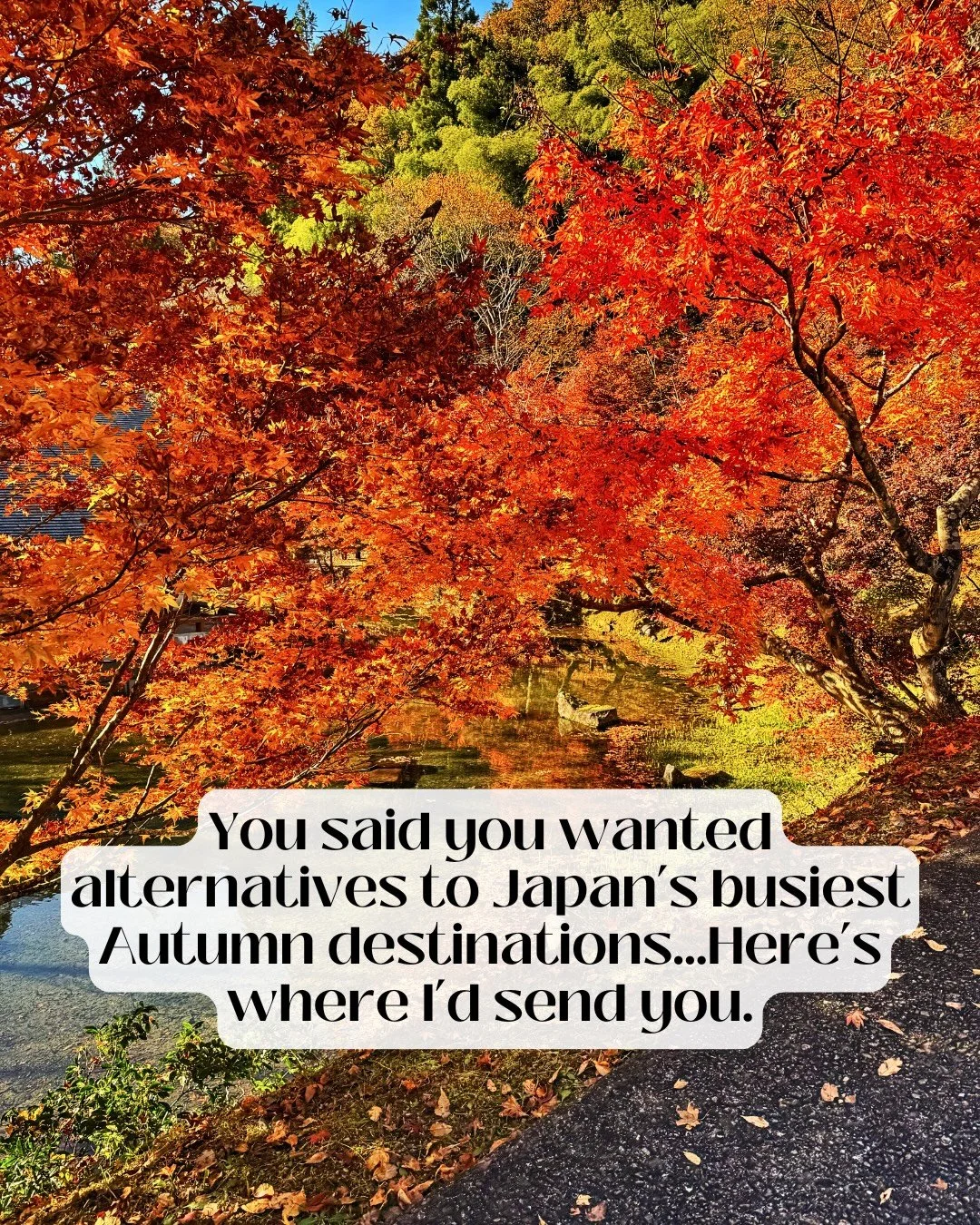 If you said you wanted to see autumn in Japan but wanted to avoid some of the busiest places, these are the places I&rsquo;d send you to.

When people plan trips to Japan in autumn, they often focus on the same destinations which can lead to places b