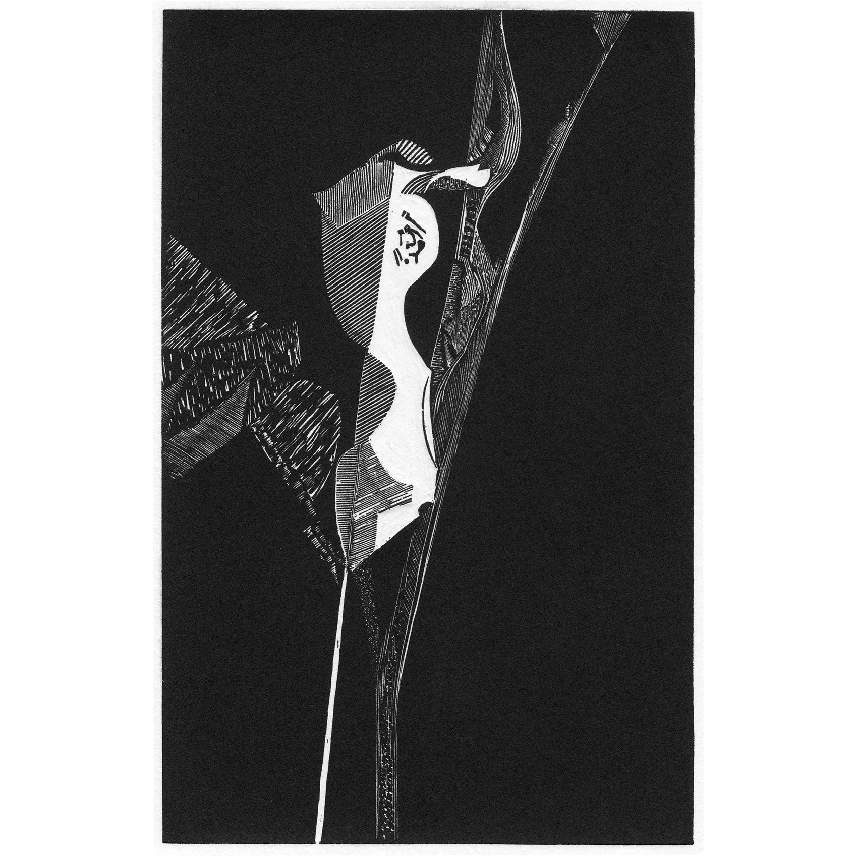 PETER S SMITH Moon Light — The Society of Wood Engravers