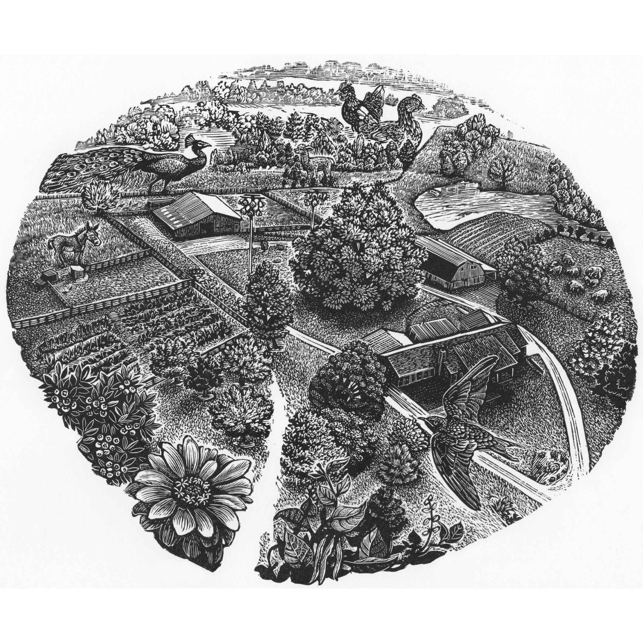 JOANNE PRICE
Homestead
