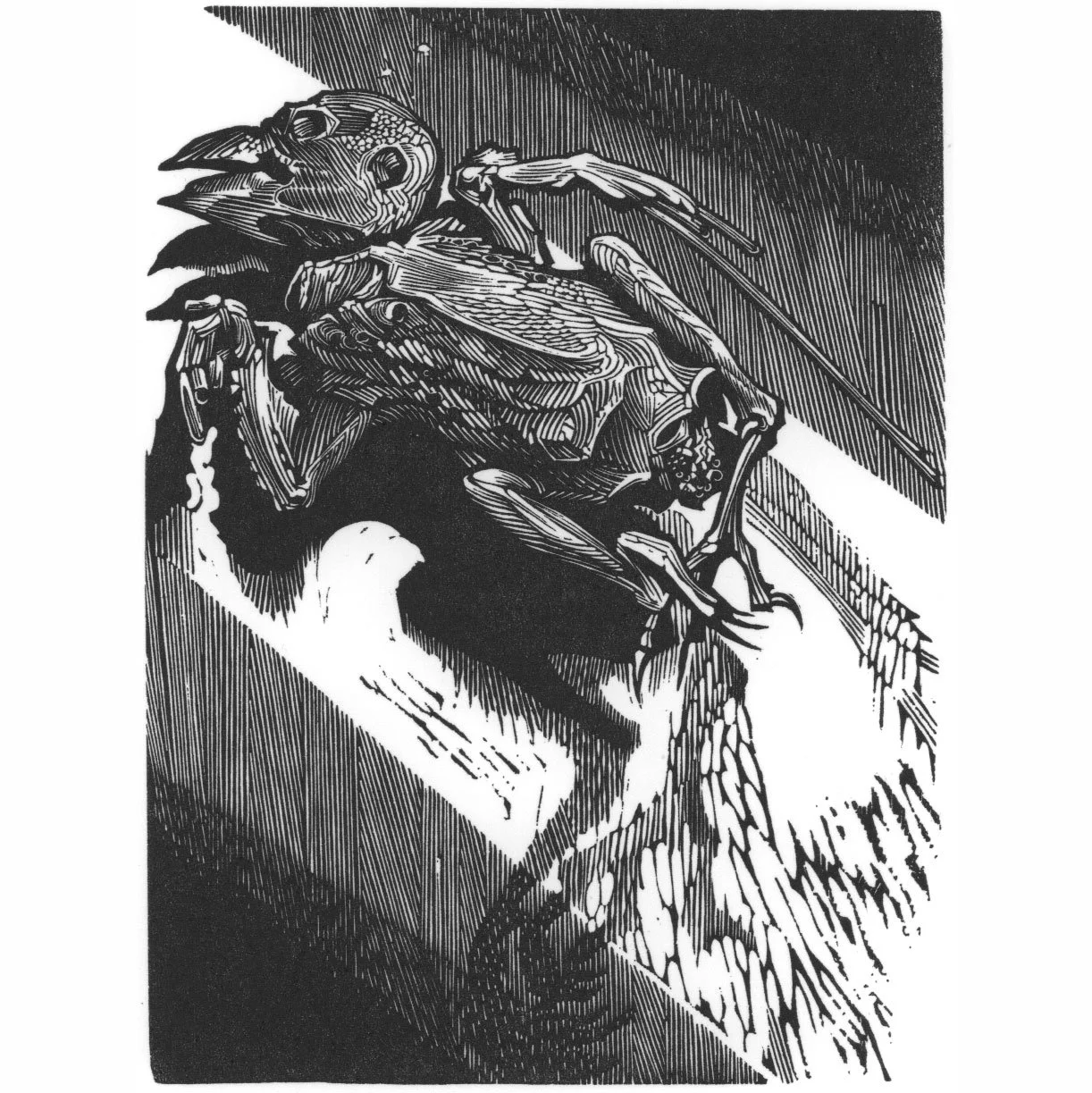 PETER BROWN Winter Greenfinch