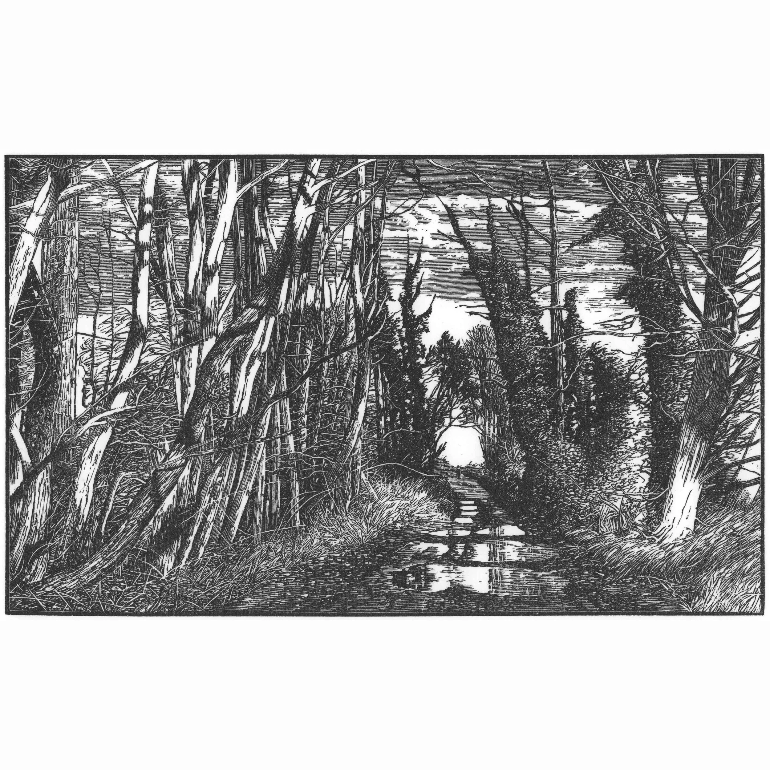 ANTHONY DUNIGAN Butcher’s Marsh