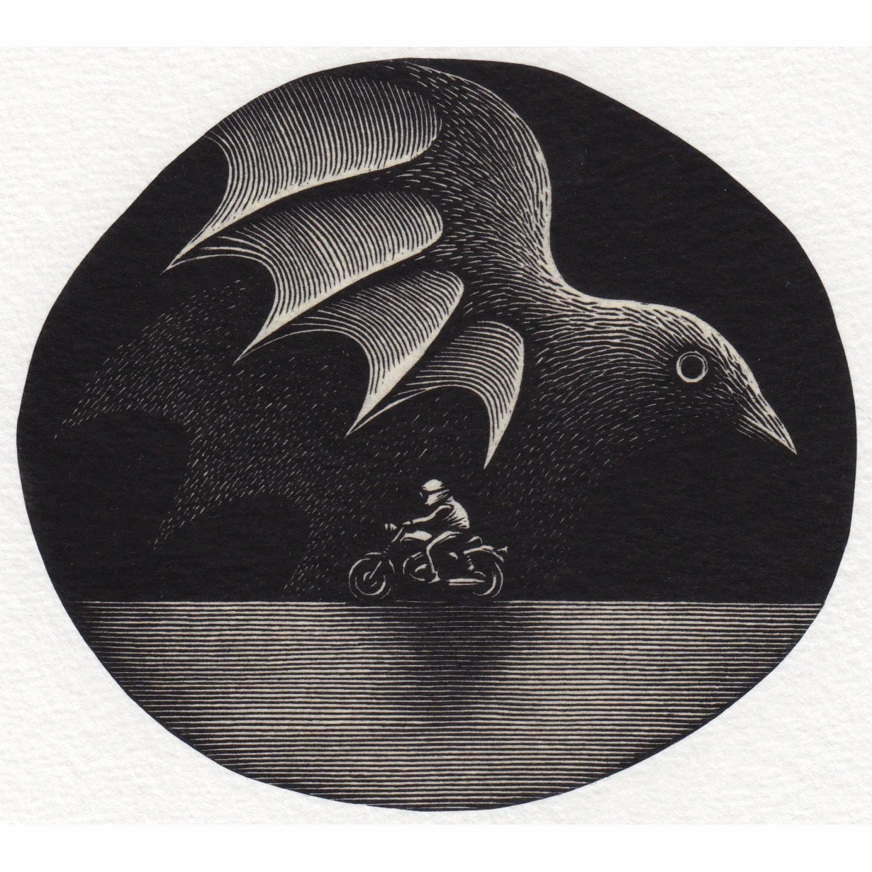 KOUKI TSURITANI
Rider’s Dream
