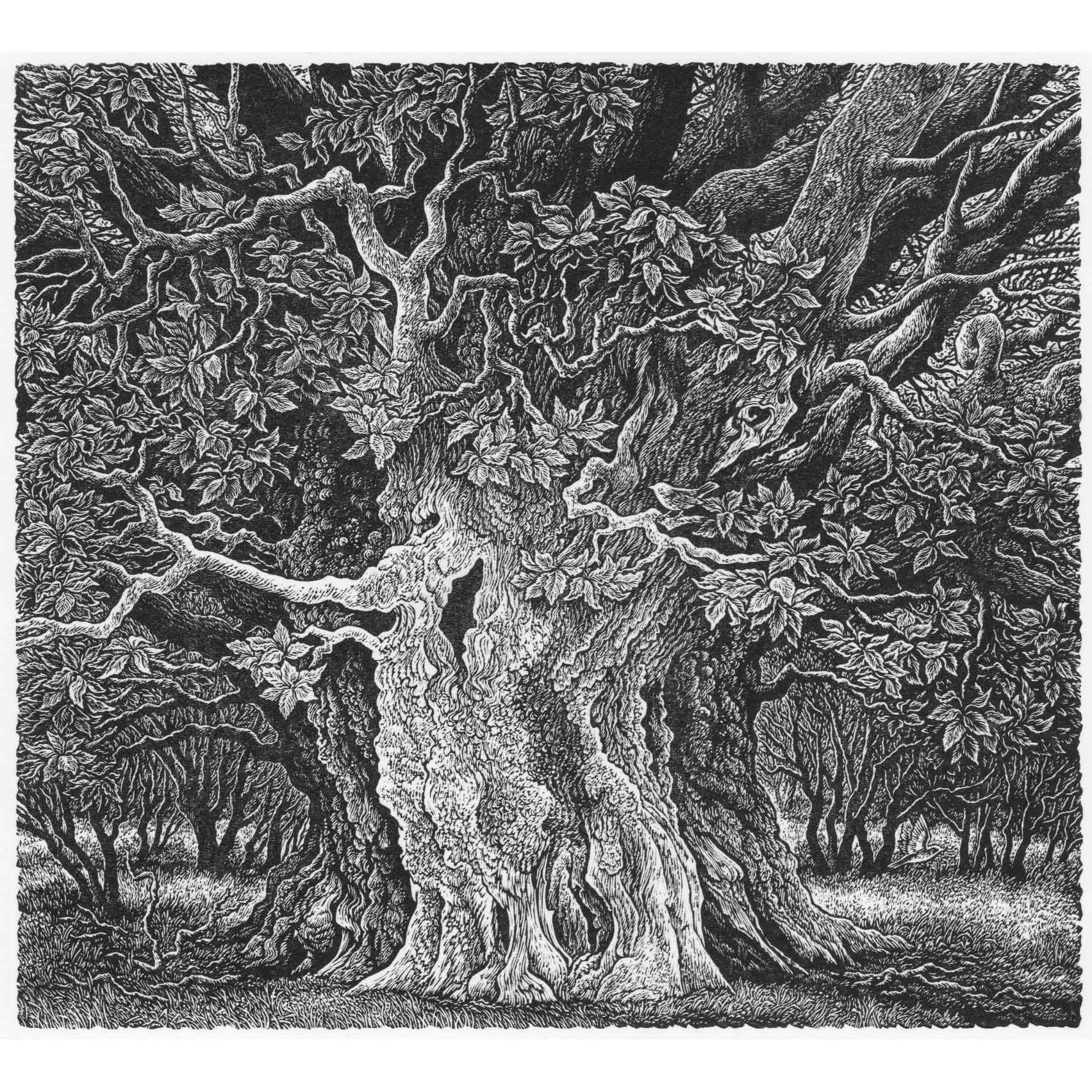 SUE SCULLARD
Veteran Chestnut
