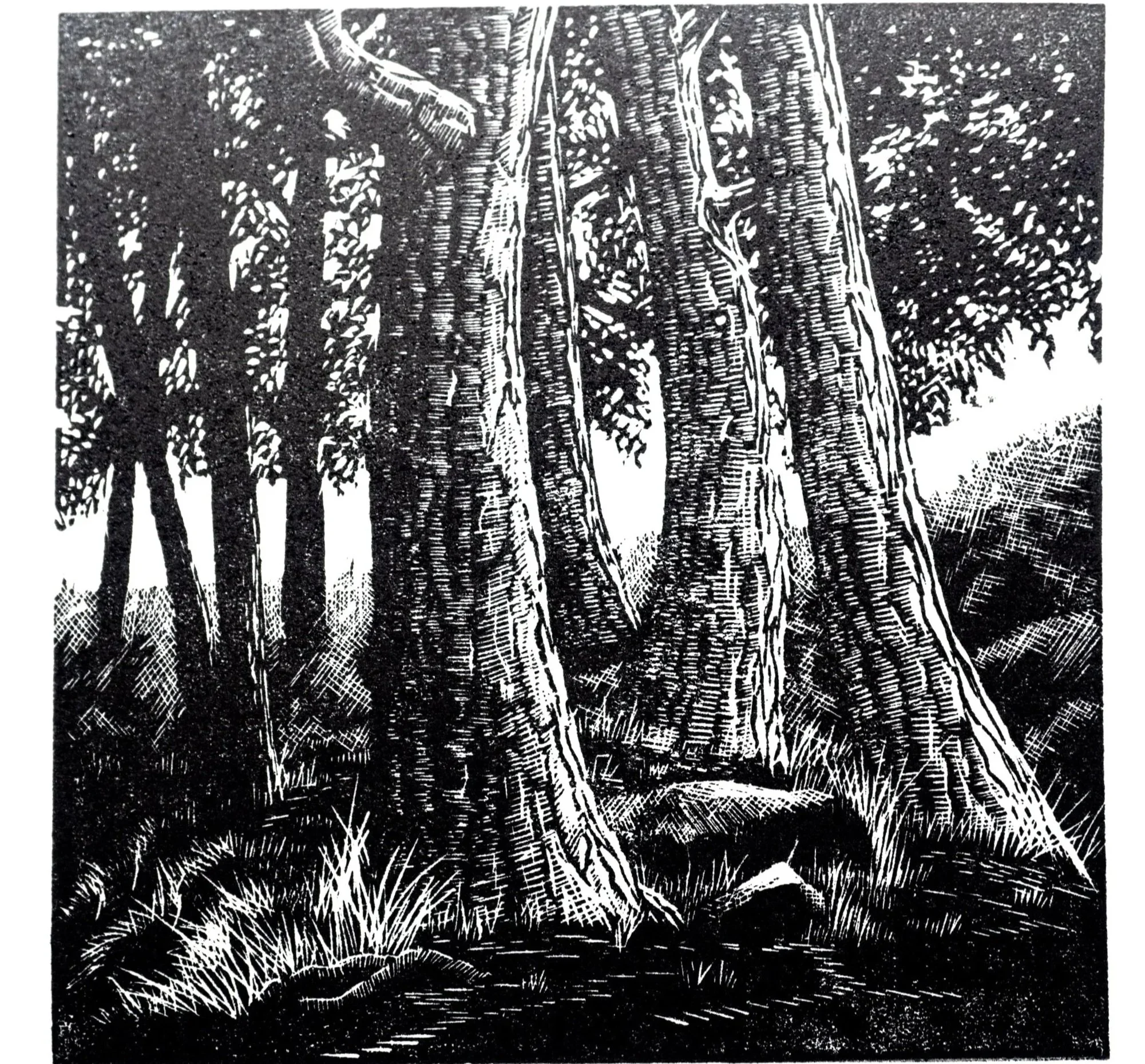 John Altringham