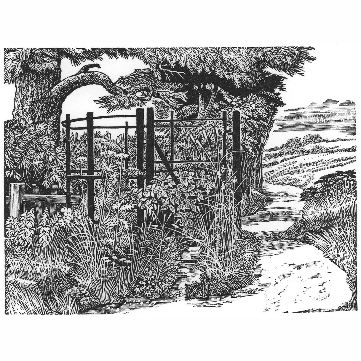 IAN CORFE-STEPHENS Bypass