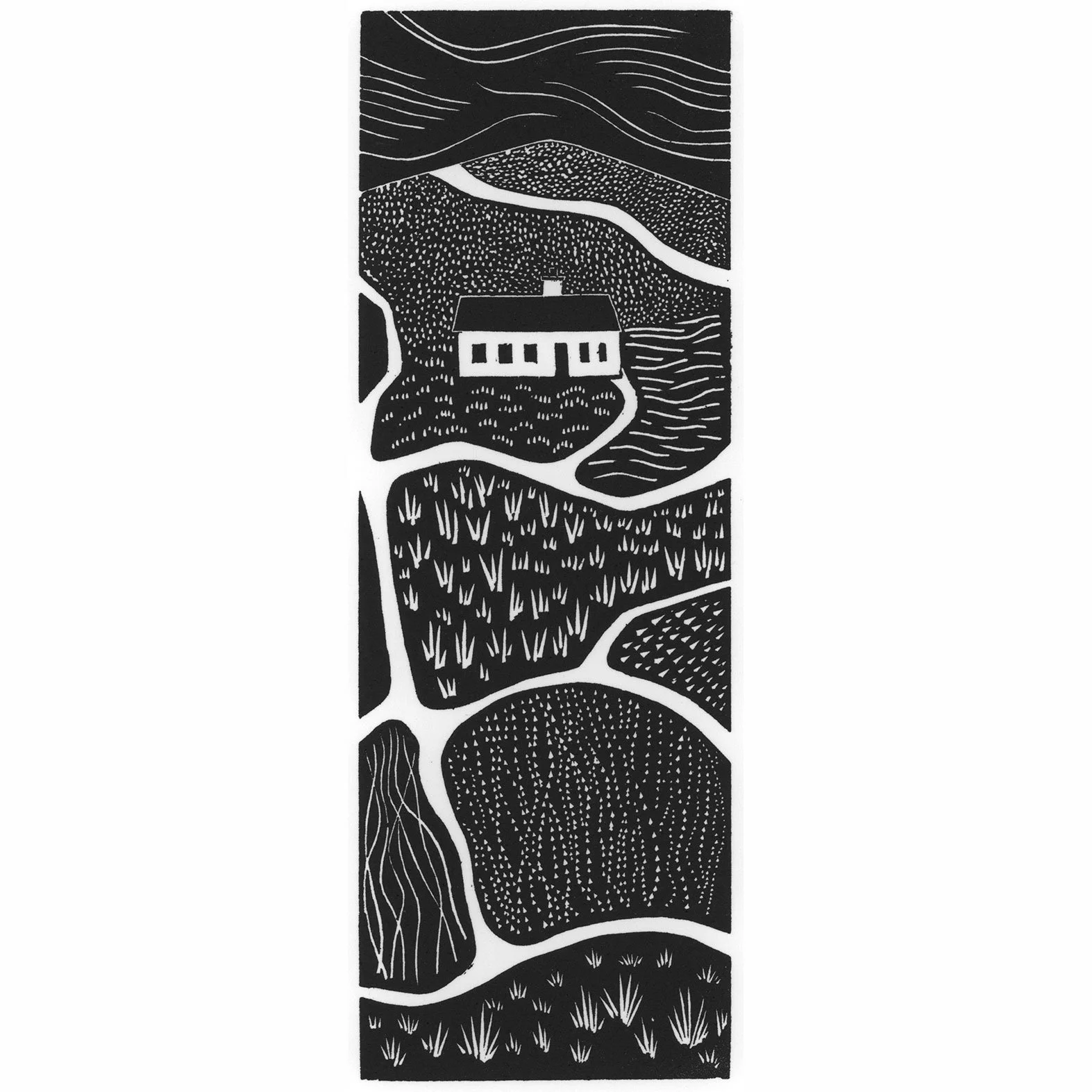 RICHARD FARMER Cae Coch