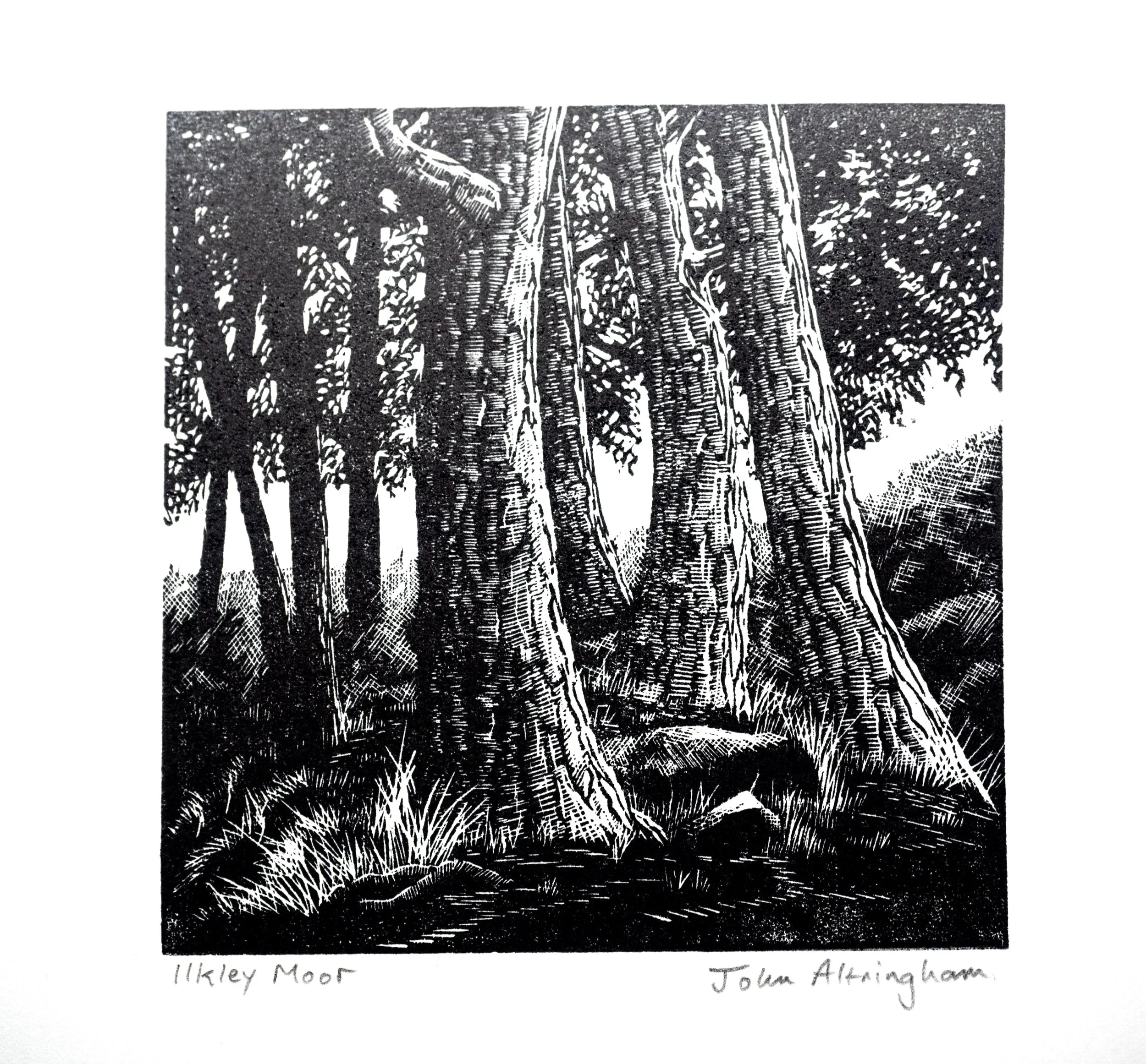 John Altringham