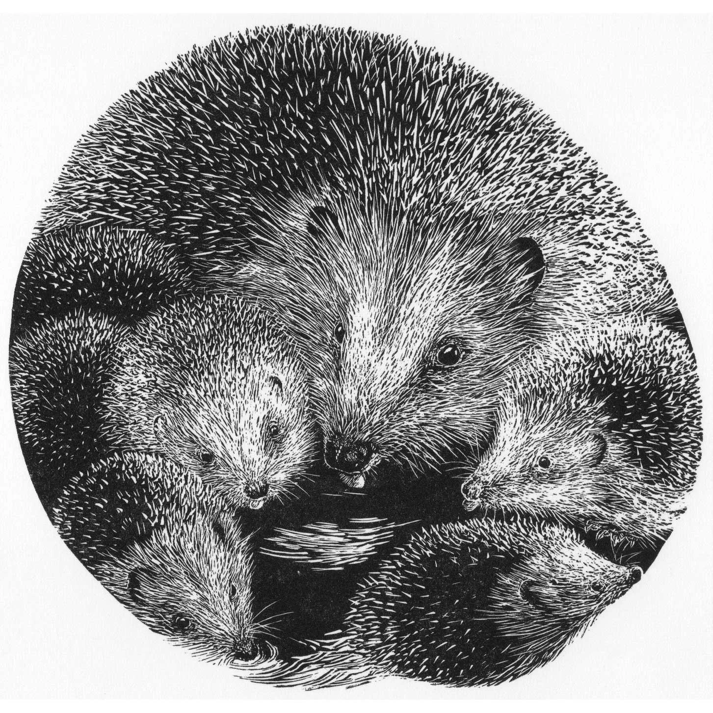 ANN TOUT
Moon Puddle
