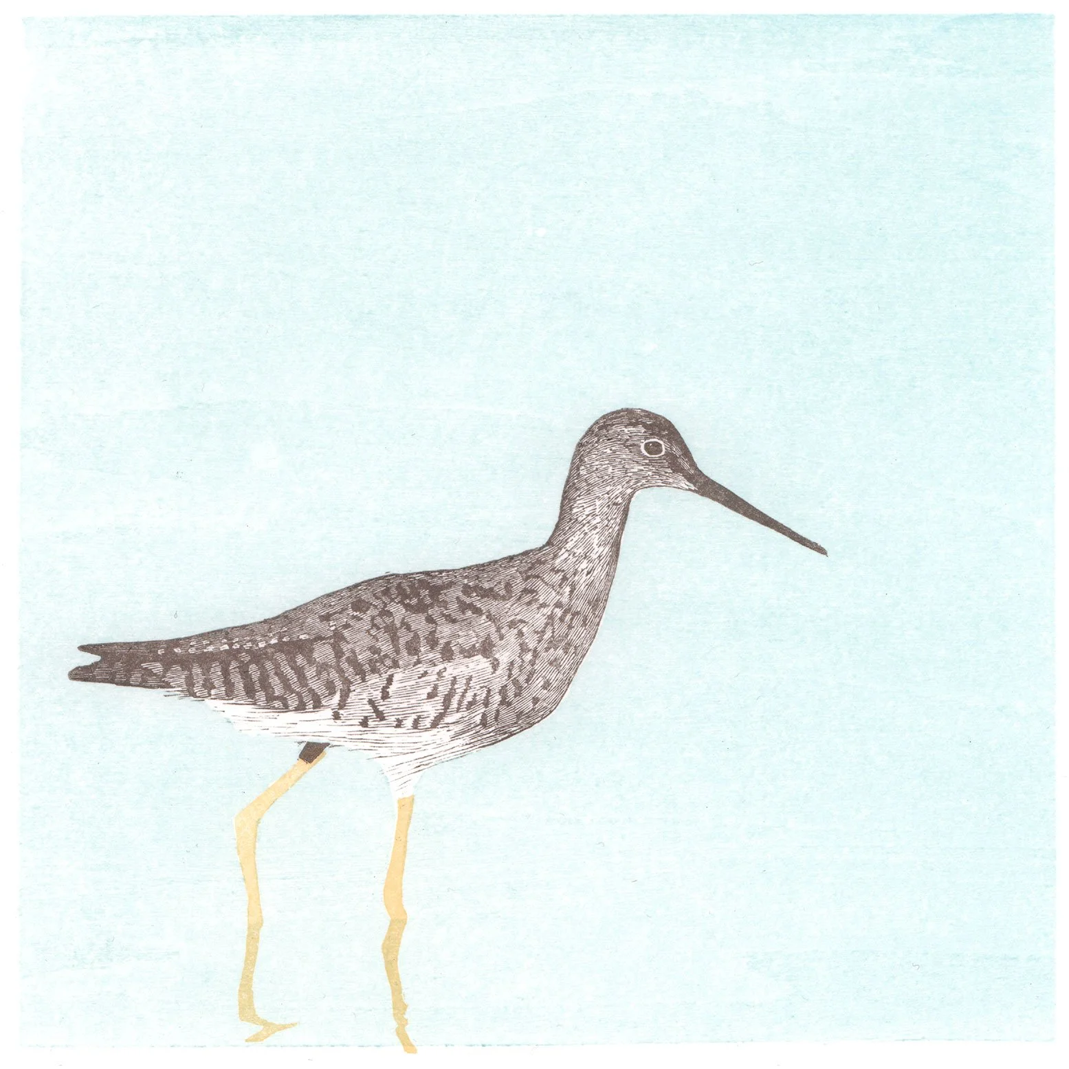 Wagener,-Richard.-Greater-Yellowlegs.jpg
