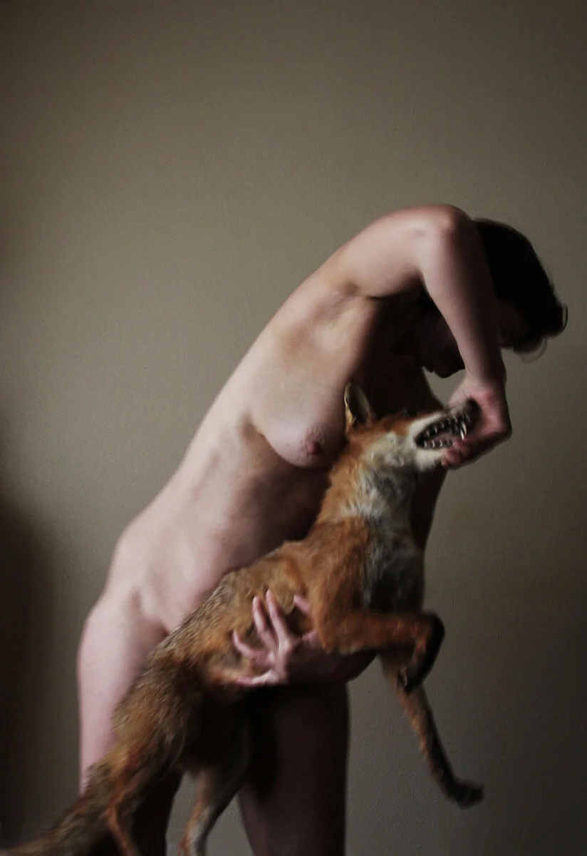 A person holding a snarling fox against a plain wall background.