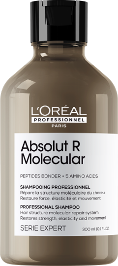 正規販売店】アブソルート R モレキュラー プロフェッショナル
