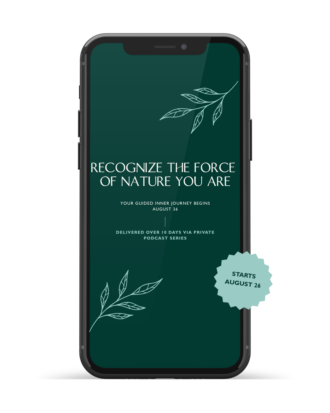 Digital Product Mockups (11).png