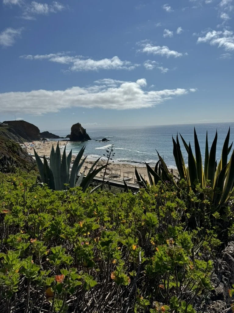 View of a coastal beach scene with green plants and succulents in the foreground, sandy beach in the middle, and large rock formations in the distance under a partly cloudy sky.